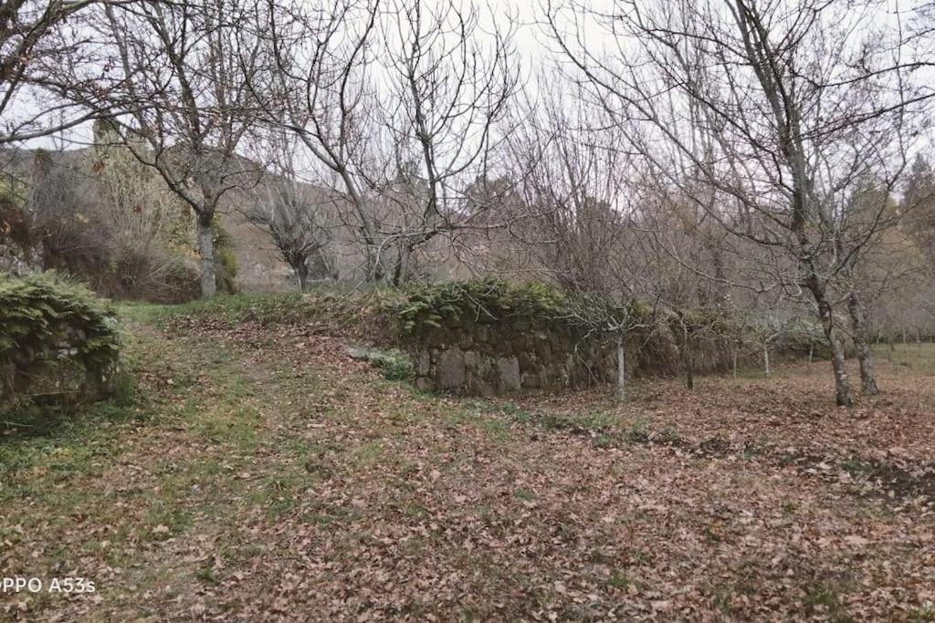Confort, Fun And Leisure In Douro Rural Space Sande  Exterior foto