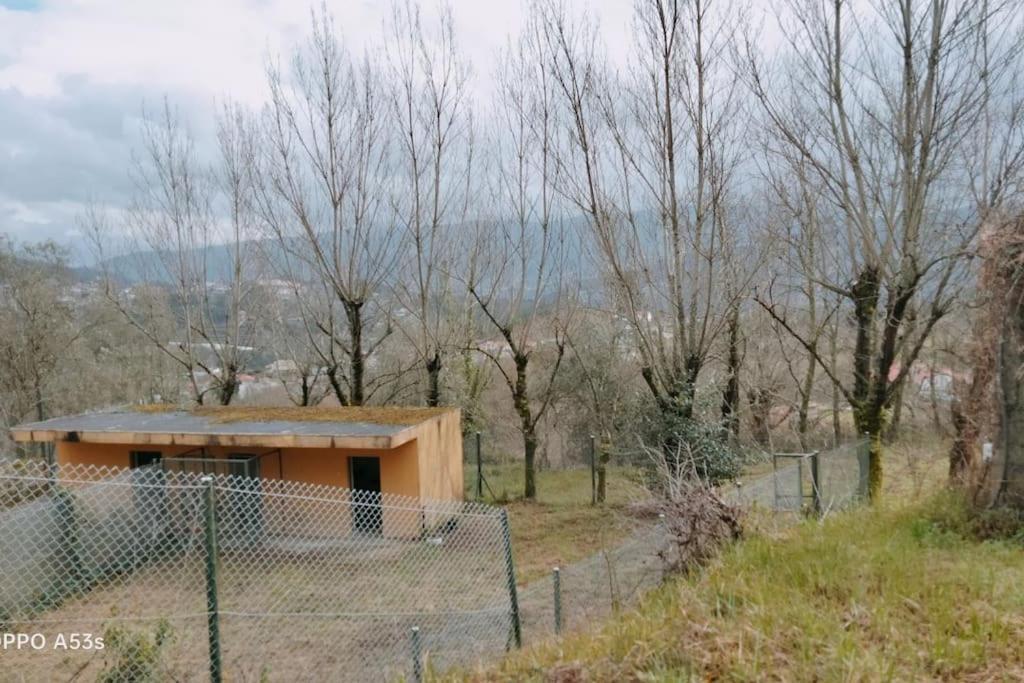 Confort, Fun And Leisure In Douro Rural Space Sande  Exterior foto